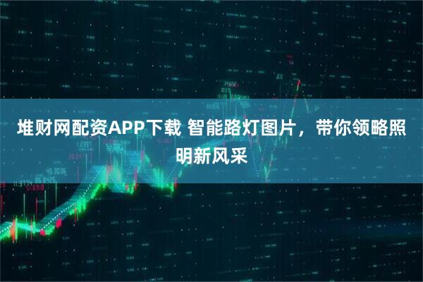 堆财网配资APP下载 智能路灯图片，带你领略照明新风采