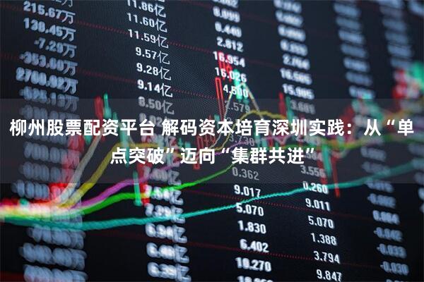 柳州股票配资平台 解码资本培育深圳实践：从“单点突破”迈向“集群共进”