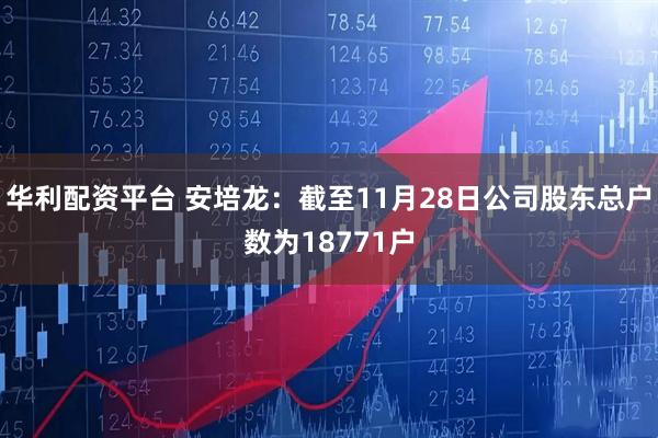 华利配资平台 安培龙：截至11月28日公司股东总户数为18771户